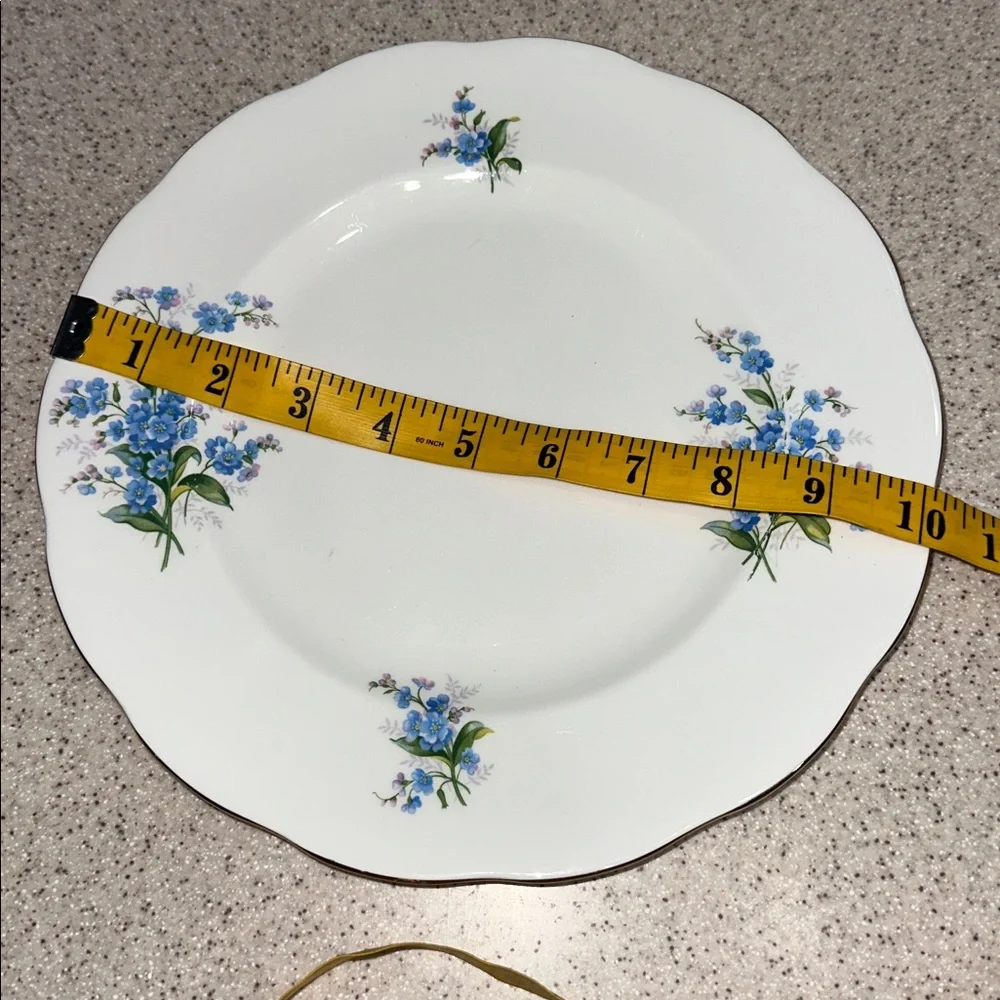 Royal Albert Forget Me Not 10” Dinner Plate